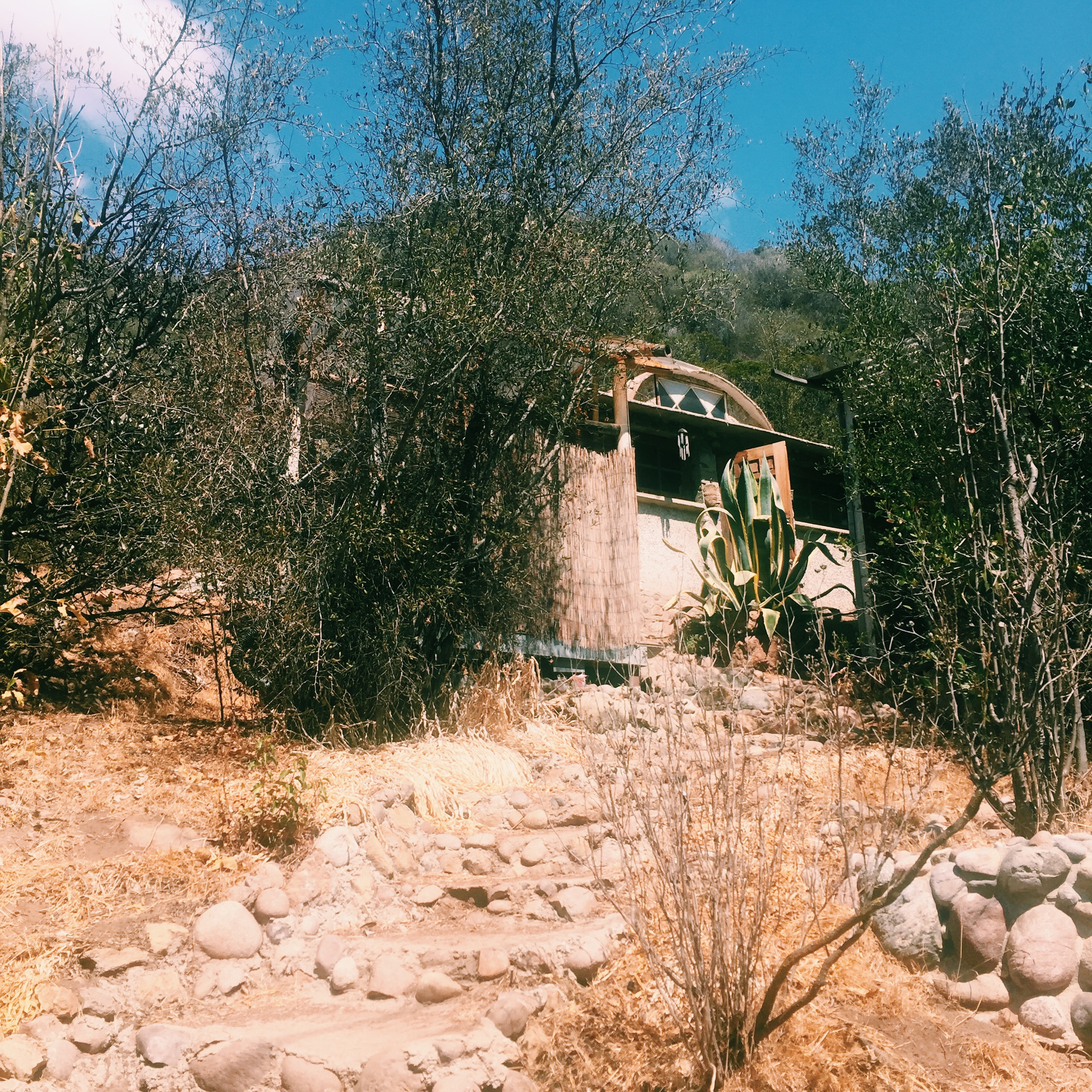 Processed with VSCO with c1 preset